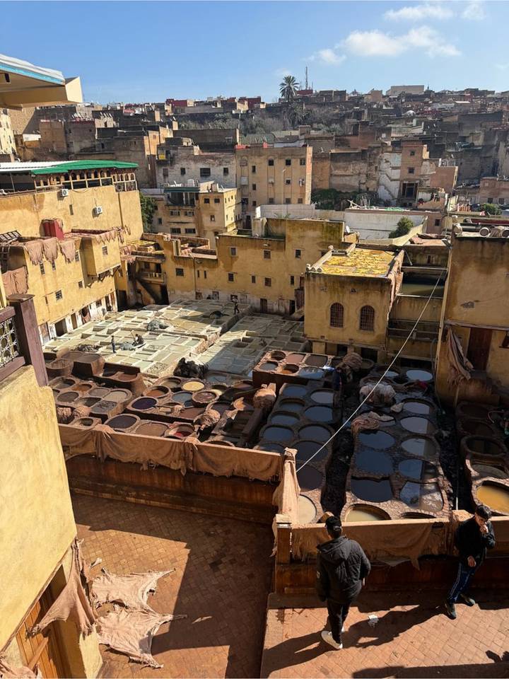 View over the vats of Fes tannery with hides drying on surrounding rooftops