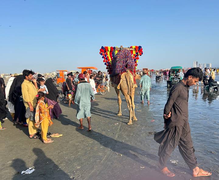 Busy beach scene with families and vendors gathered on wet sand while a brightly decorated camel waits under a clear blue sky.