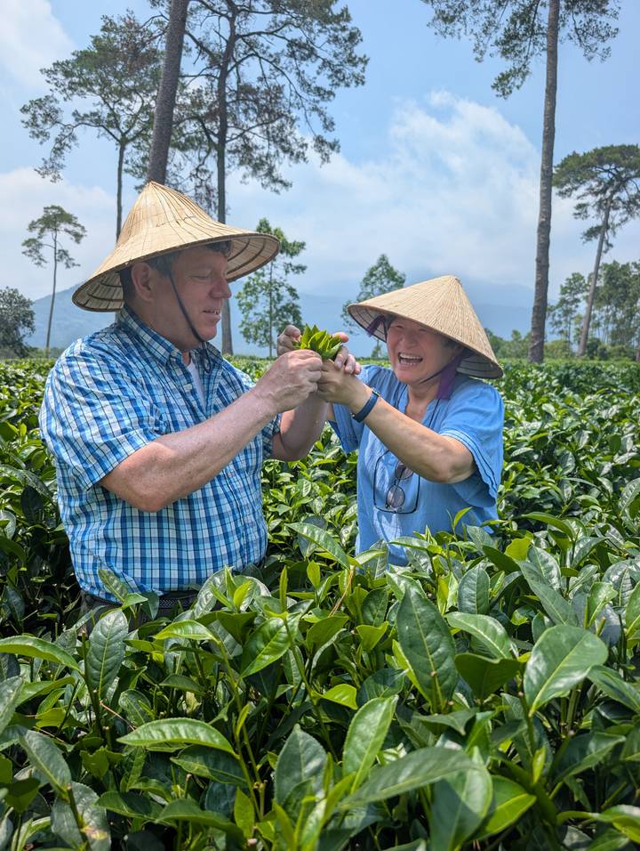 Two travelers pick fresh tea leaves together in a green plantation with distant hills.