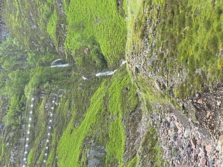 Narrow waterfall cascading down a lush green hillside in the Highlands.