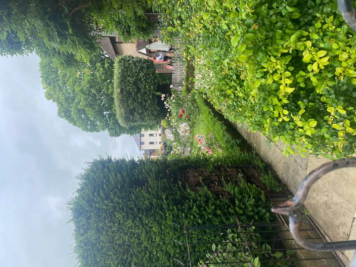 Lush cottage garden path bordered by colorful flowers and trimmed hedges.