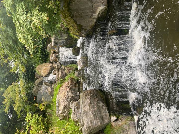 Small cascading waterfall in a landscaped Japanese-style garden.