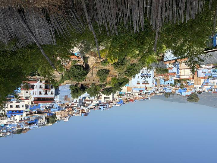 Expansive hillside of white and blue houses cascading down Chefchaouen’s slopes under clear skies.