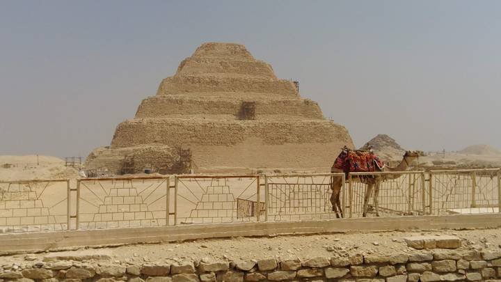 Step Pyramid of Djoser at Saqqara with a saddled camel standing beside a stone fence in the desert haze.