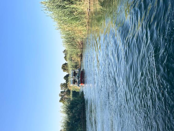 Small motorboat travelling along a calm reed-lined channel of the Nile under a clear sky