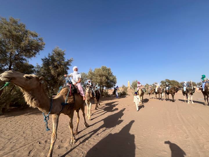 Close view of smiling riders on camels moving through sandy terrain lined with trees.