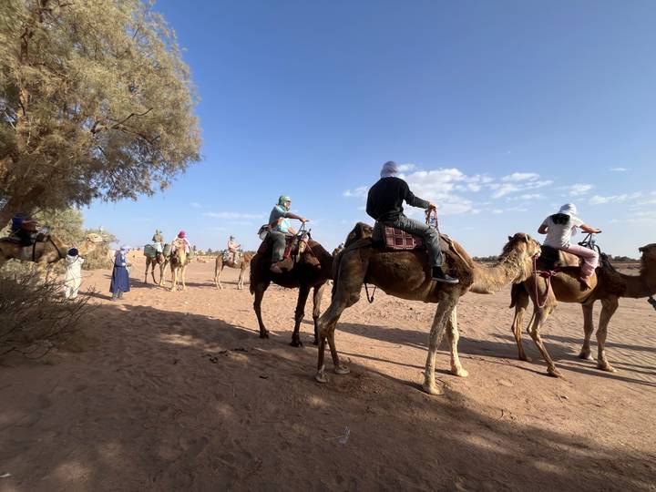 Riders adjust positions atop camels while preparing to leave the desert shade.