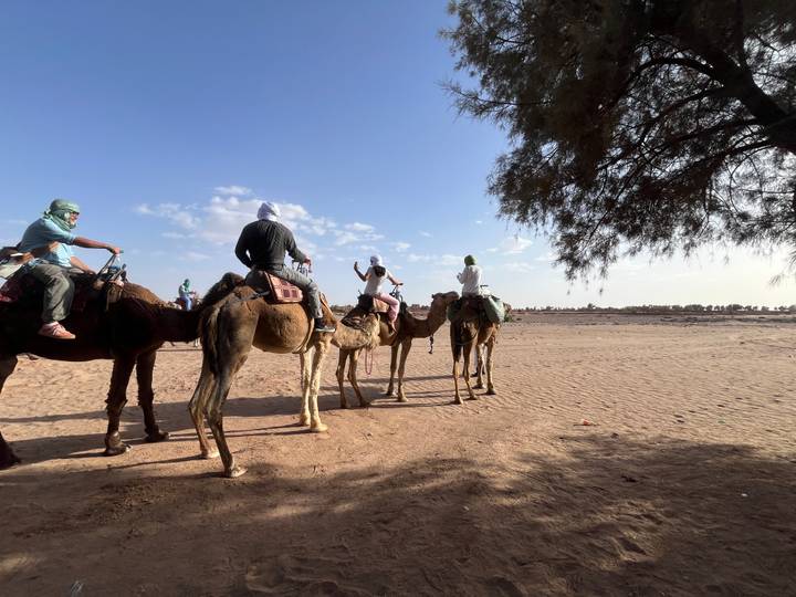 Camels stand in line while riders look out over open desert flats in bright sun.