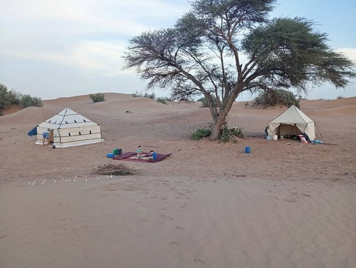 A simple desert camp with two canvas tents set beside a lone tree on open sandy ground.