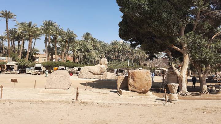 Open-air museum with palm trees, a stone sphinx and ancient artifacts on display