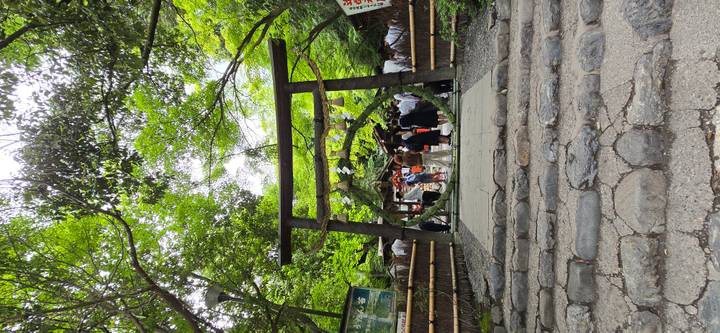 Stone steps lead to a wooden torii gate surrounded by lush trees and a gathering of visitors beyond
