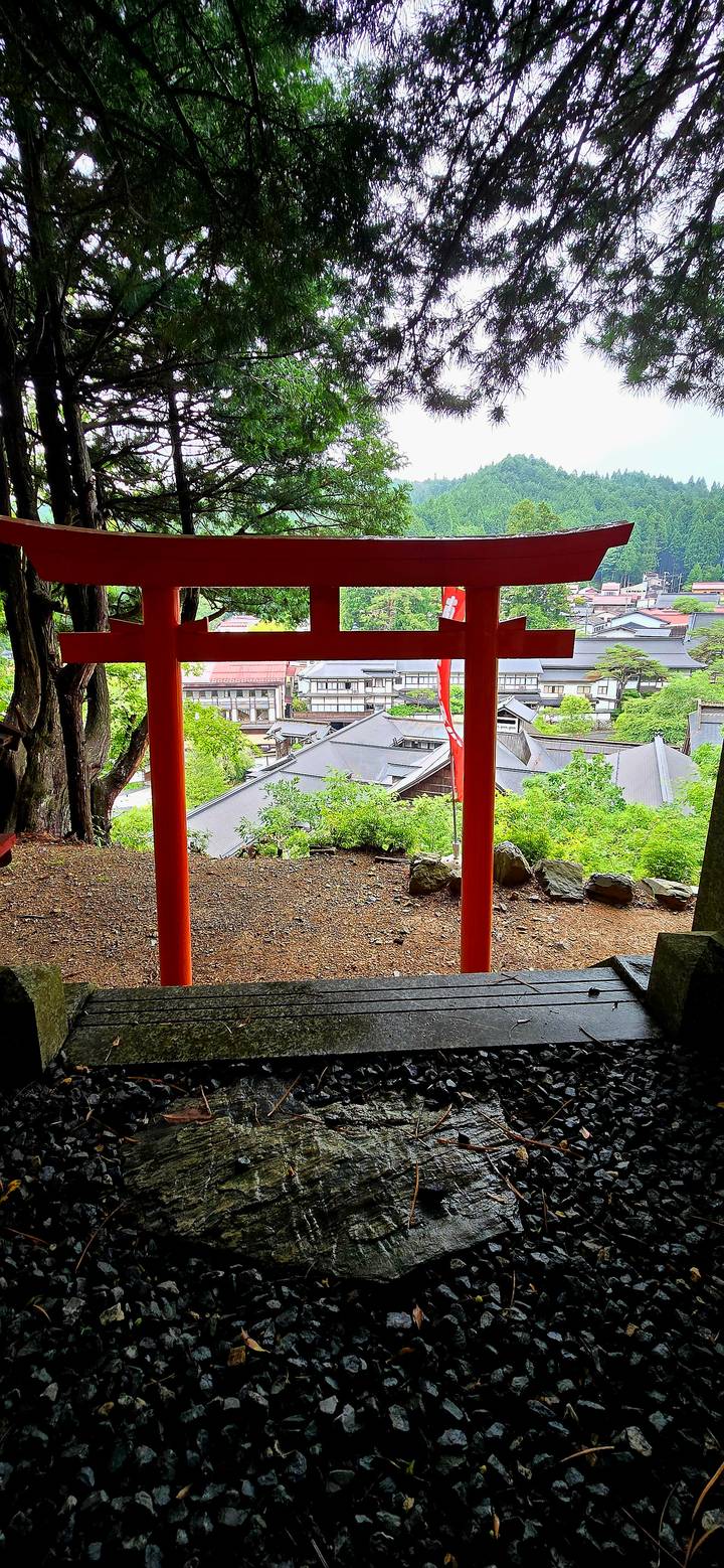 Hilltop view of town rooftops framed by bright red torii posts