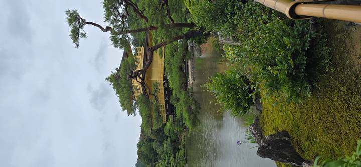 Golden Pavilion temple gleaming beside a tranquil pond surrounded by greenery