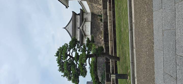 Stone walls and pine tree beside a small castle turret under overcast sky