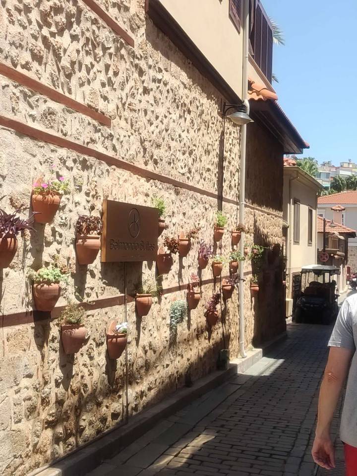 Sunny alley with clay pots of flowers adorning a textured stone wall
