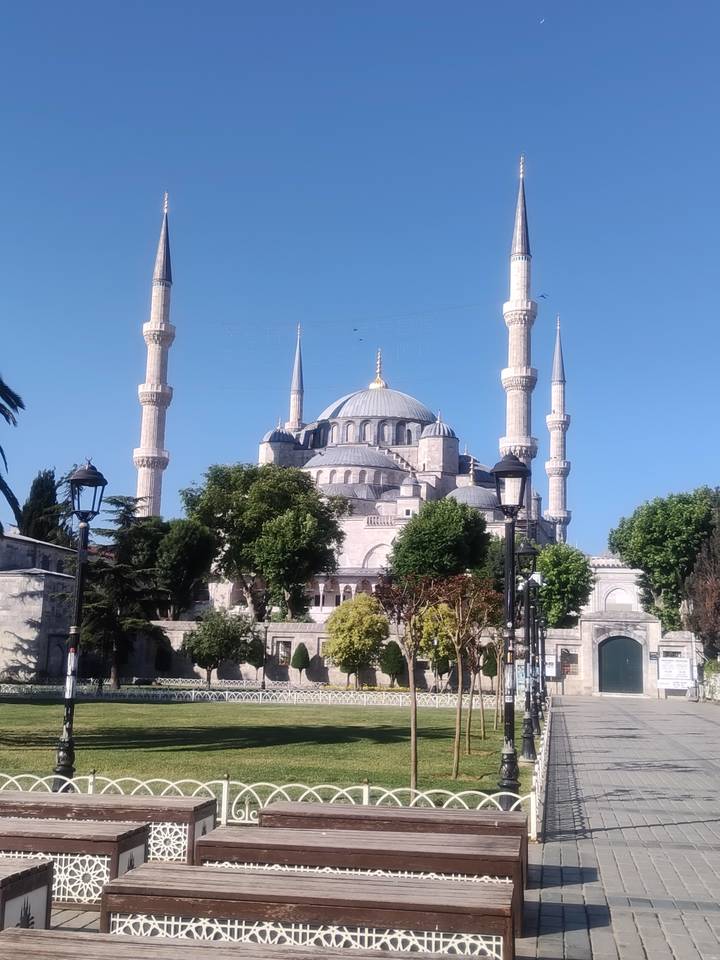 Majestic Blue Mosque with six minarets framed by greenery under blue sky