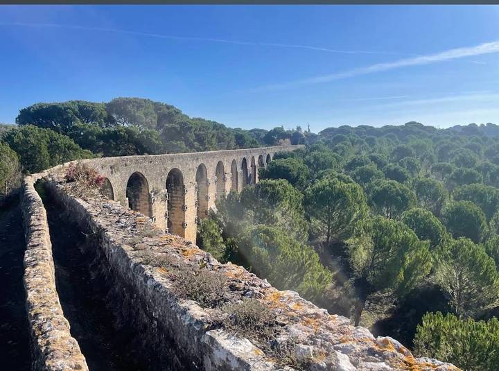 Long stone aqueduct cutting across a dense green pine forest under a clear blue sky