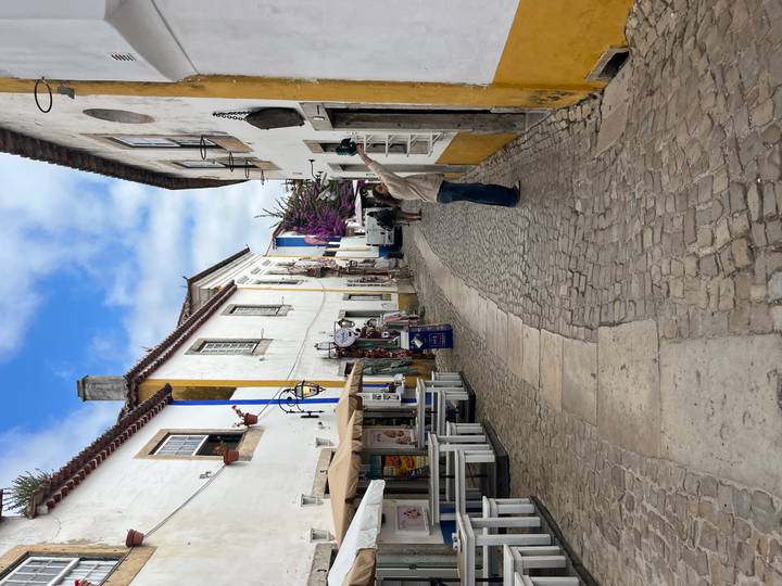 Charming narrow cobblestone lane lined with whitewashed houses and colorful flags