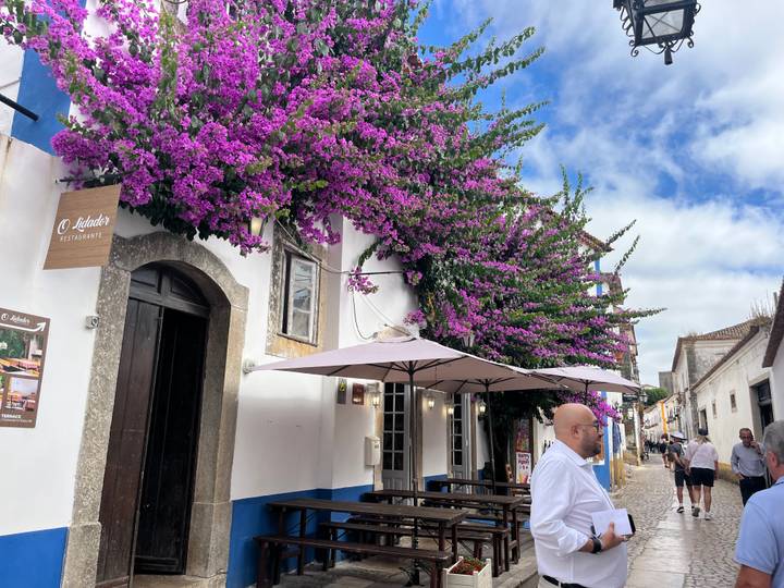 Whitewashed restaurant façade draped in vibrant purple bougainvillea on a quaint street