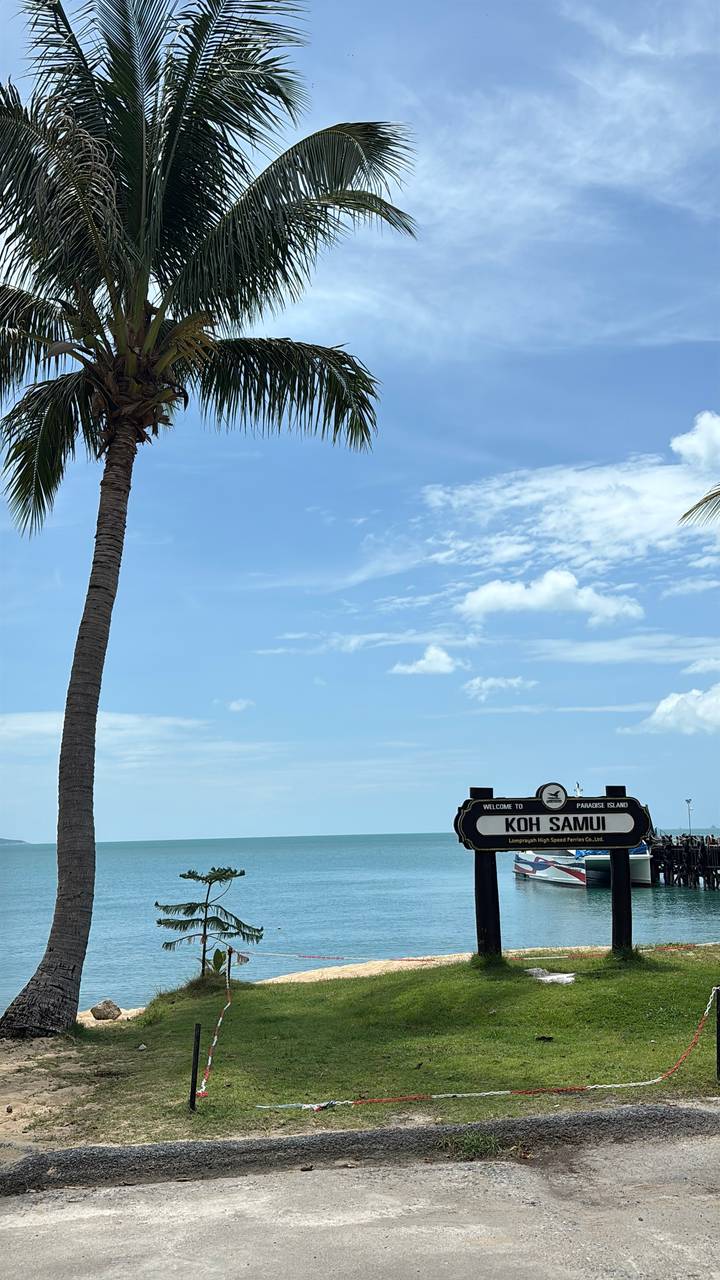 A tall palm tree frames a sign announcing 'Koh Samui Paradise Island' against a bright blue sky.