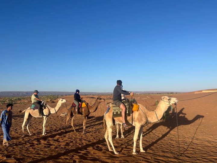 Line of tourists on camelback led across reddish desert sands in early morning light.