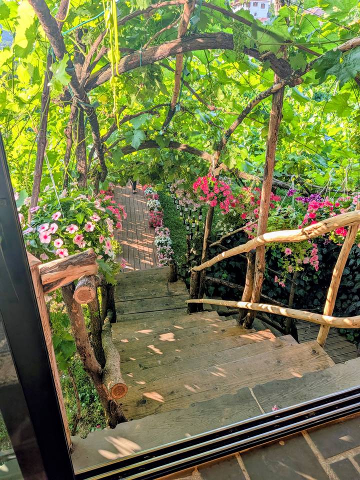 Wooden stairs lined with hanging baskets of vibrant flowers lead through a leafy garden arbor.