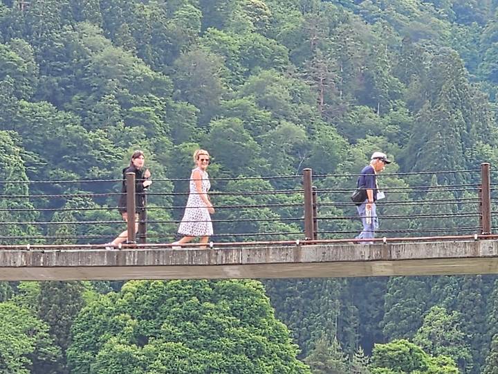 Three people walk across a narrow bridge surrounded by dense green forest.