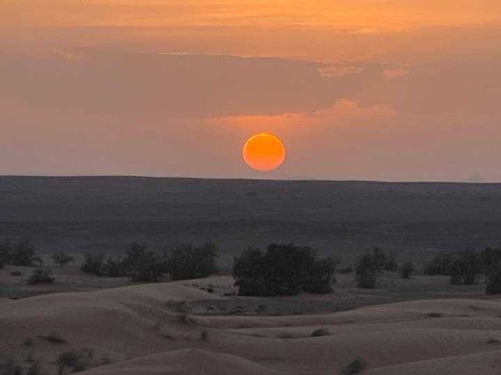 Fiery orange sun sets over vast Sahara dunes and sparse desert trees.