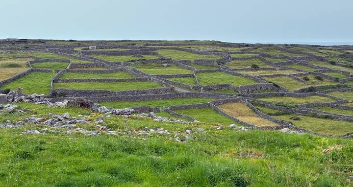 Patchwork of ancient stone field walls and green grasslands under a pale sky