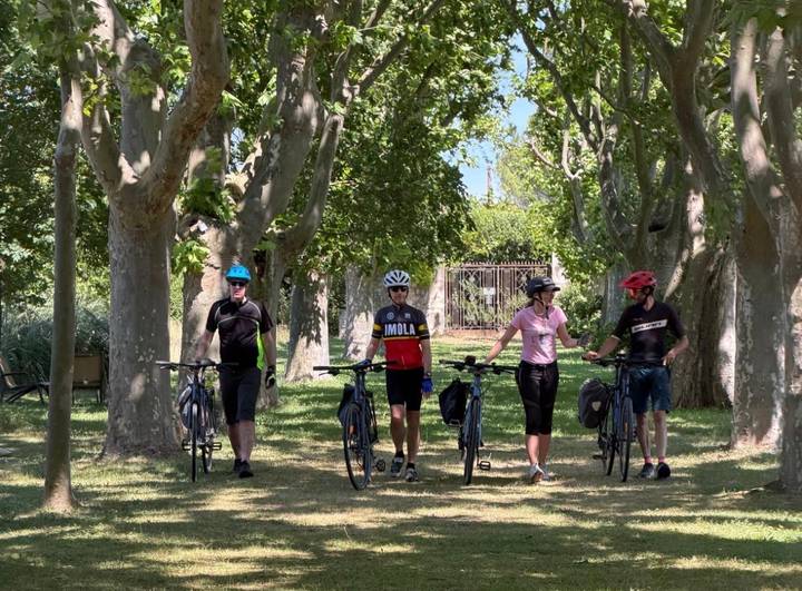 Four cyclists walking their bikes under plane trees in a shady park.