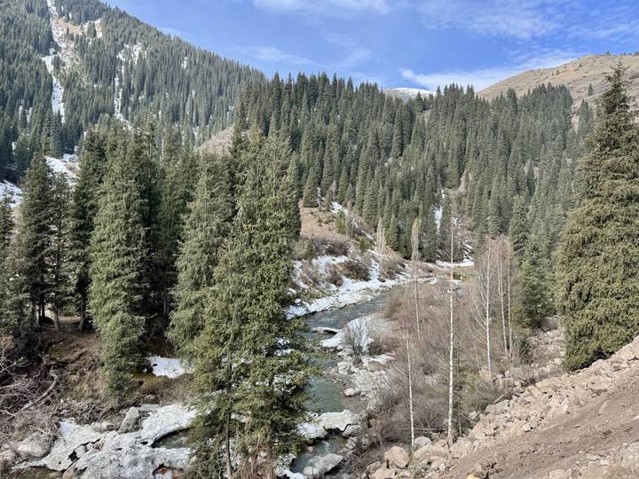 Pine-covered mountain gorge with snowy patches and a river rushing below