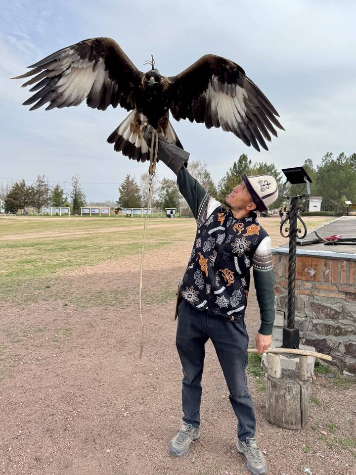 Kyrgyz falconer holding a golden eagle aloft during a traditional demonstration in an open field.