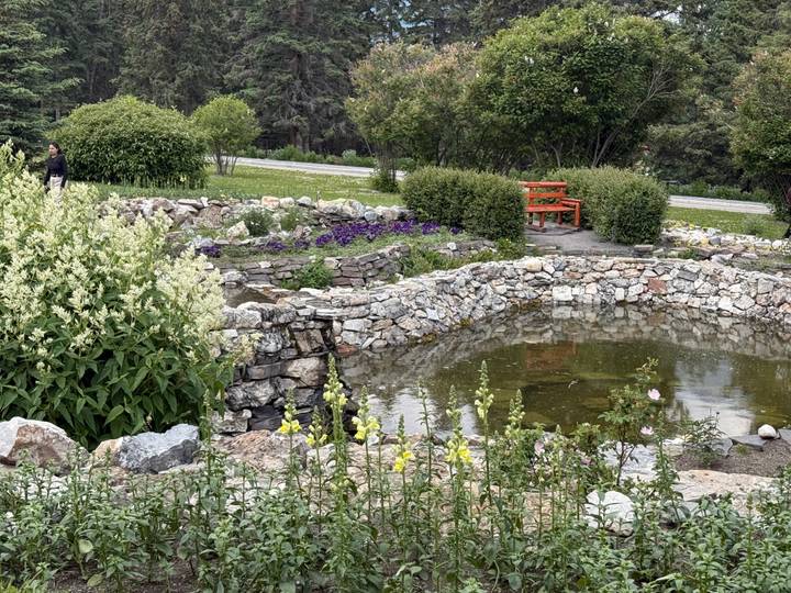 Stone-lined ornamental pond with blooming flowers and a red garden bench in a mountain park.