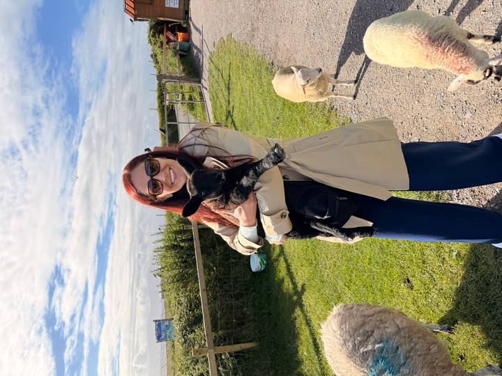 Traveler holding a black lamb on a sunny farm path with grazing sheep and blue sky