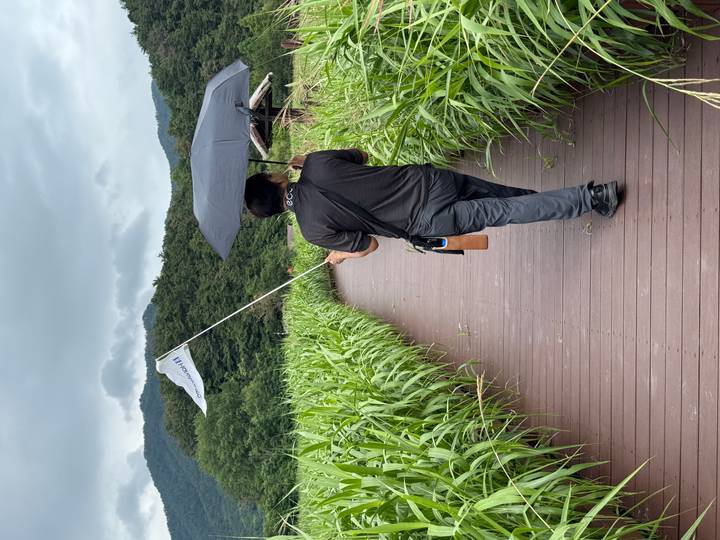 Tour guide walking along a wooden boardwalk through tall green grasses, holding an umbrella and a flag.