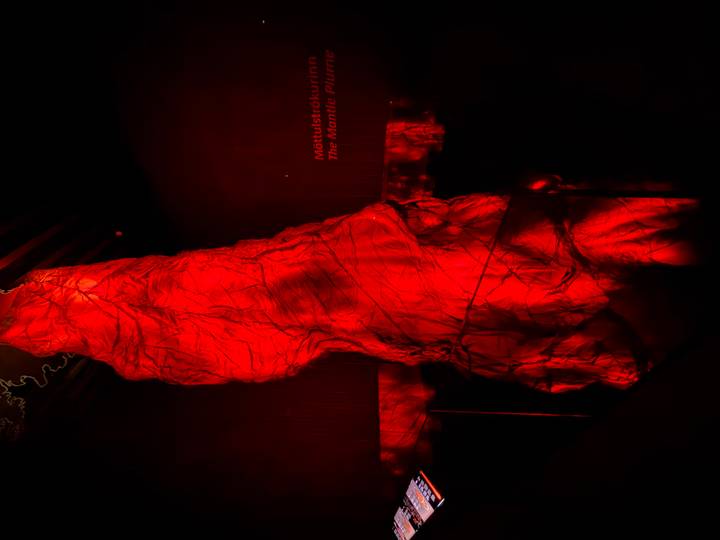 Indoor exhibit of a towering red-lit model representing volcanic magma inside a dark museum hall