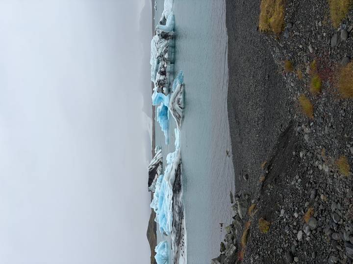 Wide glacier lagoon scene with blue icebergs floating in calm teal water bordered by dark pebble shore