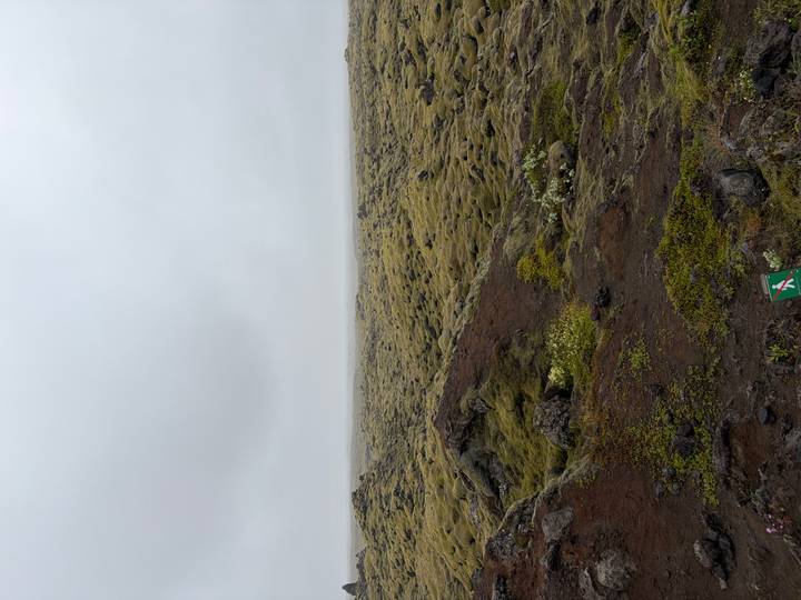 Endless moss-covered lava field stretching toward the foggy horizon under a grey sky