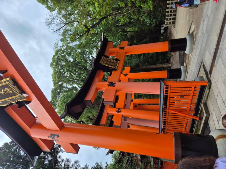 Close-up upward view of vibrant orange torii gates surrounded by green trees.