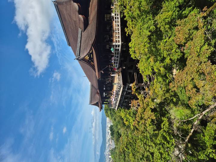 Side view of Kiyomizu-dera’s wooden stage rising above a sea of green trees.