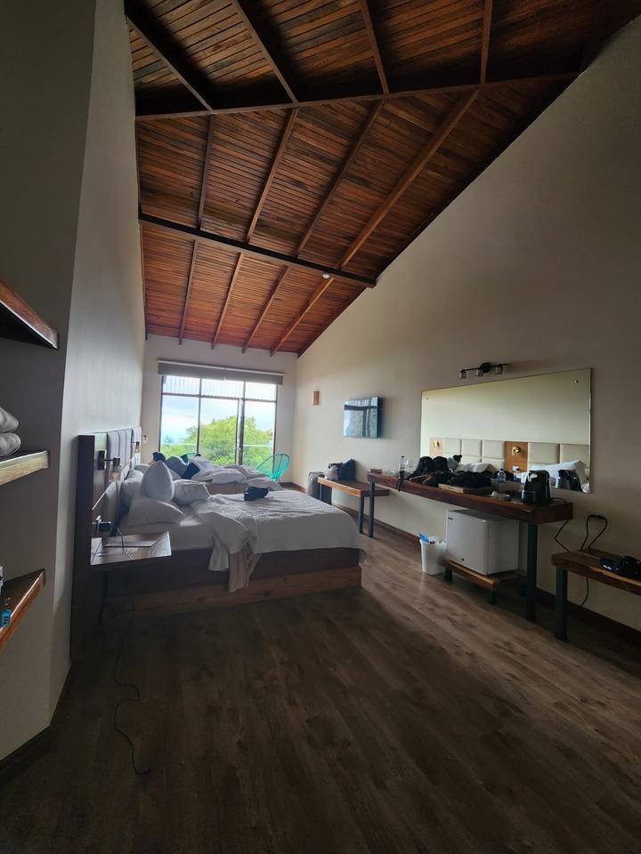 Spacious hotel room with high wooden ceiling, unmade bed, and large window overlooking cloud forest.