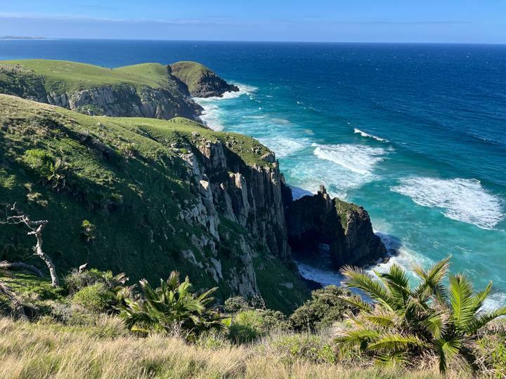 Dramatic turquoise sea crashing against steep green cliffs with palm fronds in foreground.