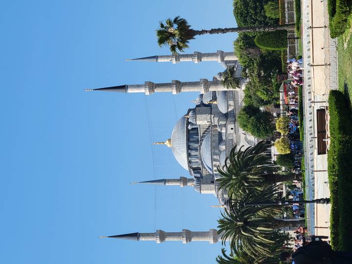 The Blue Mosque's grand domes and minarets rise above palm-lined gardens under clear blue sky.