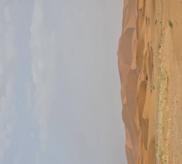 Tall portrait of serene Sahara sand dunes under a pale sky.