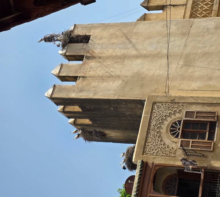 Storks nesting atop the crenellated tower of an aged sandstone fortification against a clear blue sky.