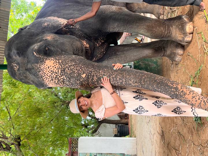 Woman in sunhat hugging a decorated Asian elephant inside a shady enclosure.
