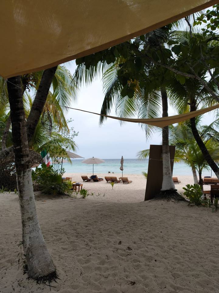 Tropical beach scene with palm trees, sun loungers and turquoise sea beyond white sand.