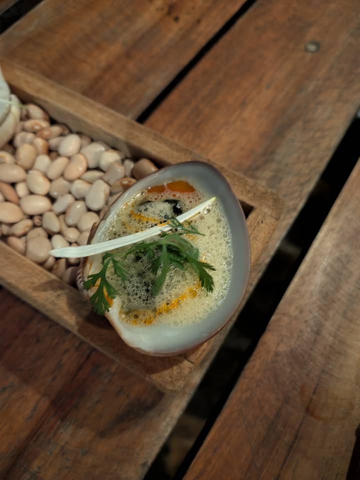 Gourmet seafood dish served in a shell with foam and herbs, placed on beans.