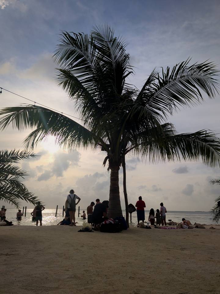 Silhouetted palm tree and small crowd enjoying a tropical sunset sky.