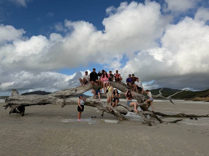 Large group poses atop giant driftwood on wide sandy beach under clouds